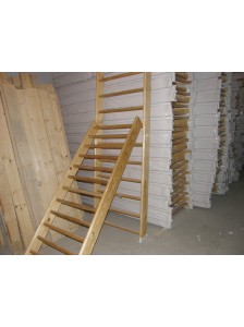 Лестница приставная, с зацепами (к шведской стенке) шир.400 мм. длина 2,0 м.